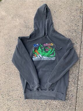 Comfort Colors Charcoal Hoodie with Green Dino Graphic